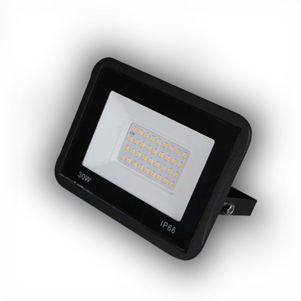 BIO LED 30 WAT PROJEKTOR