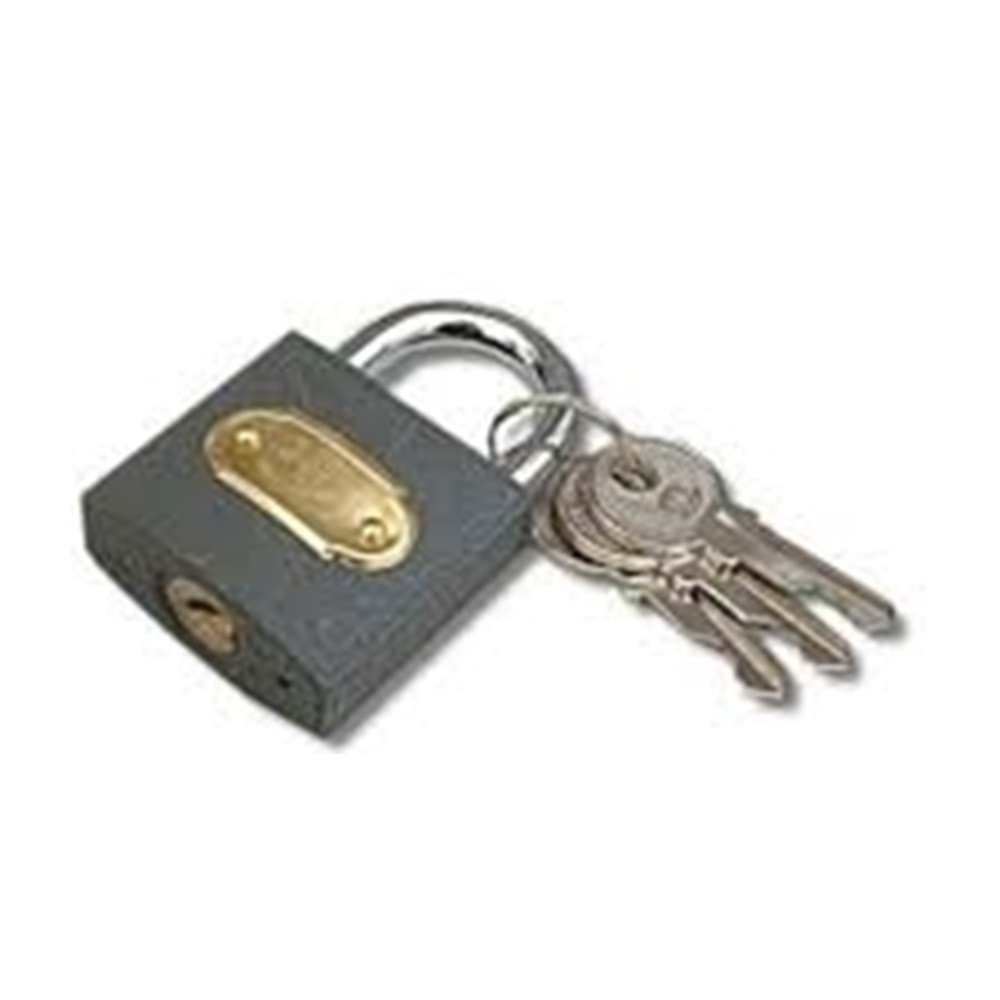 MESEM 319 50 MM ASMA KILIT GRI