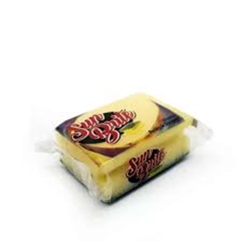 SUN BRITE OLUKLU BULASIK SUNGERI TEKLI 36 LI