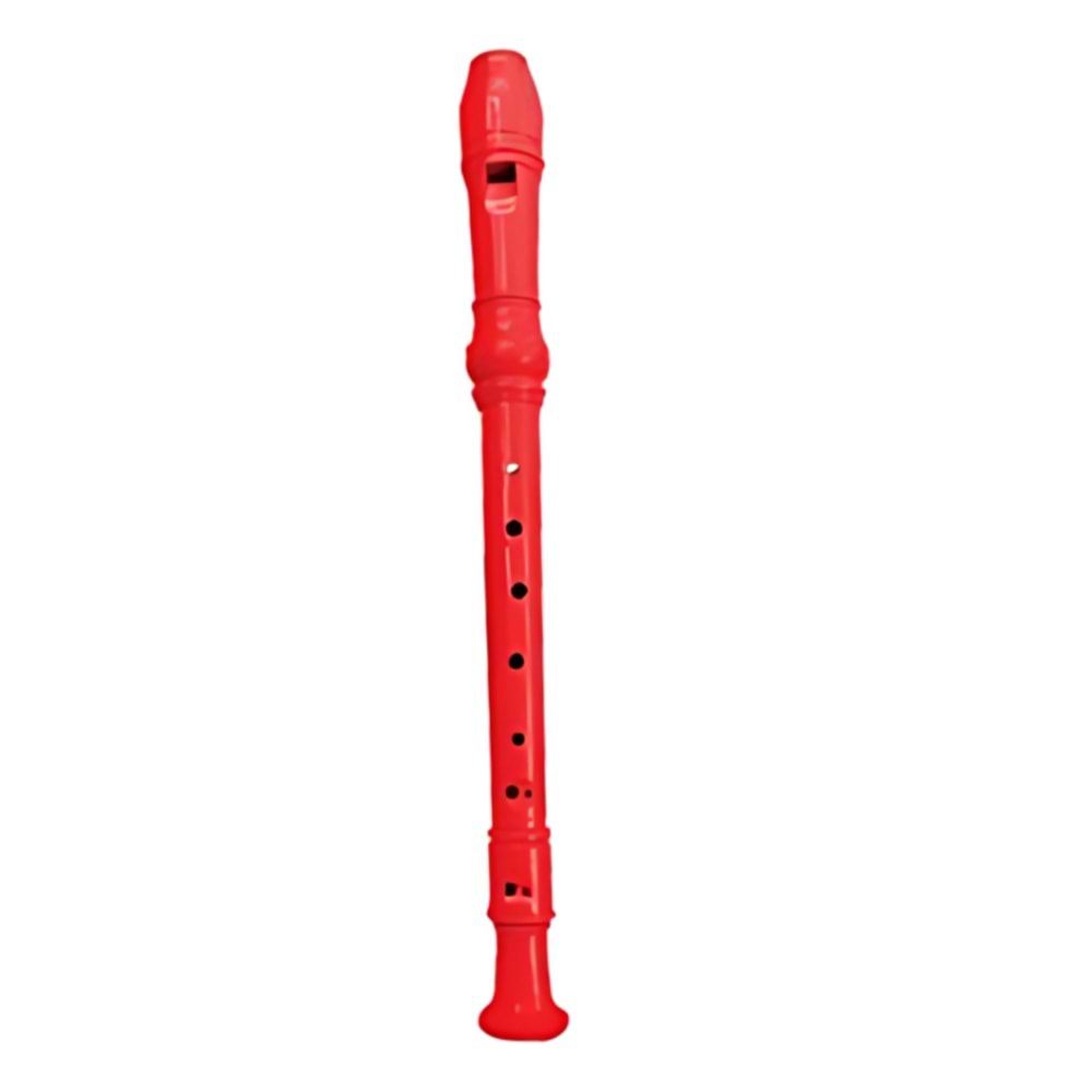 GALAXY P-2589 FLUT RENKLI