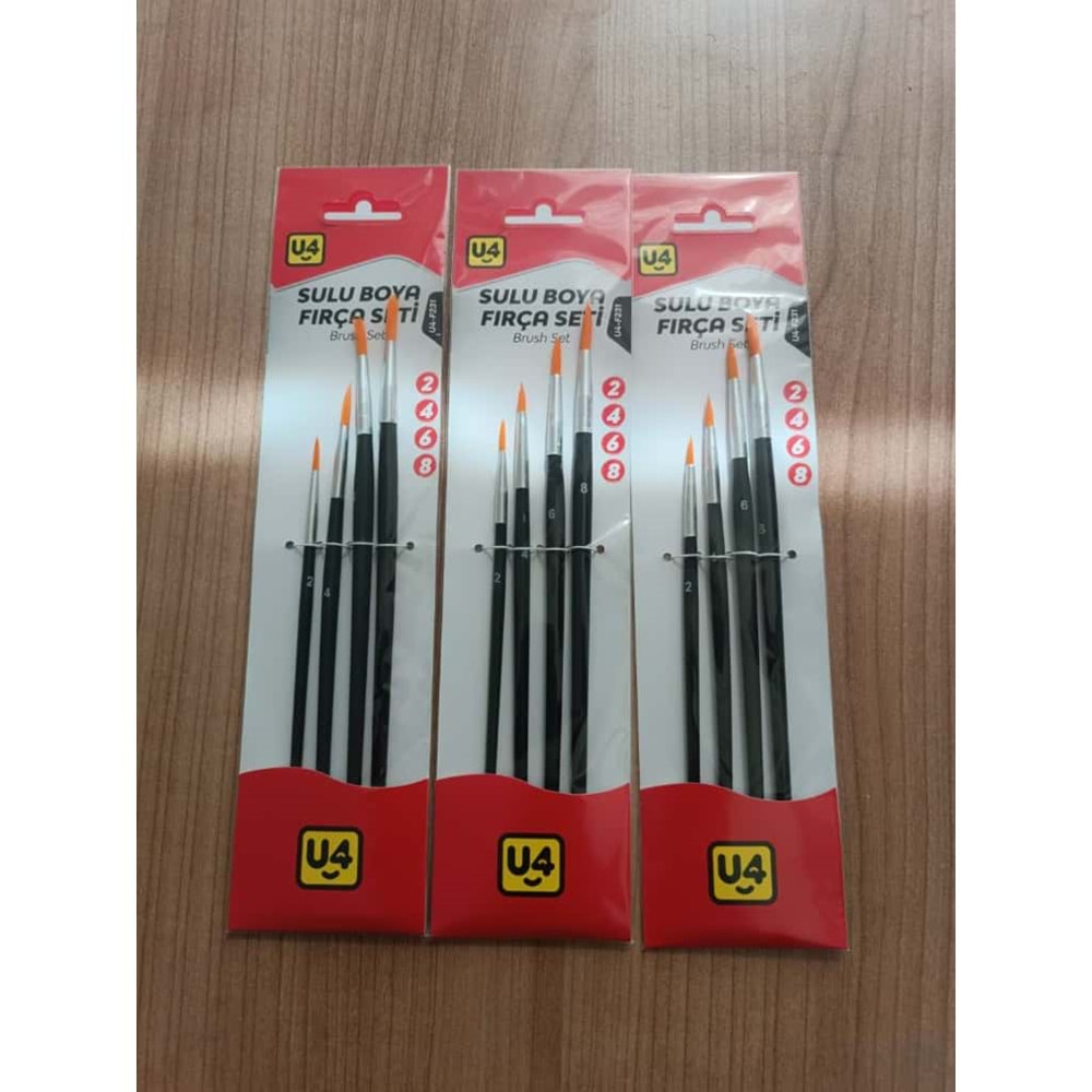 U4 F231 SULU BOYA FIRCA SETI (12)