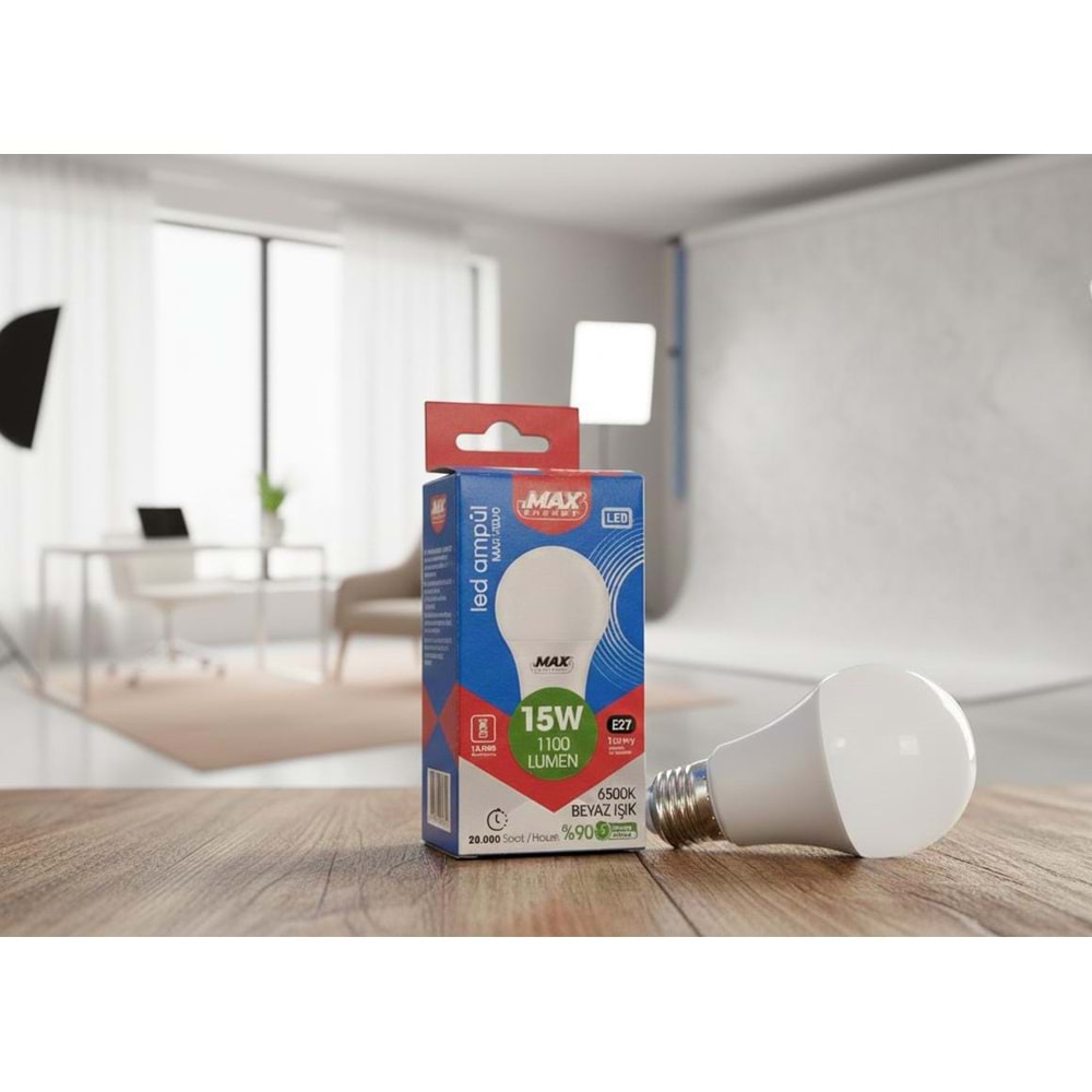 ZMAX F8070 LED AMPUL 15W (100)