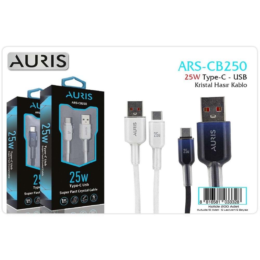 AURIS CB250 25 W TYPE-C KRISTAL HASIR KABLO