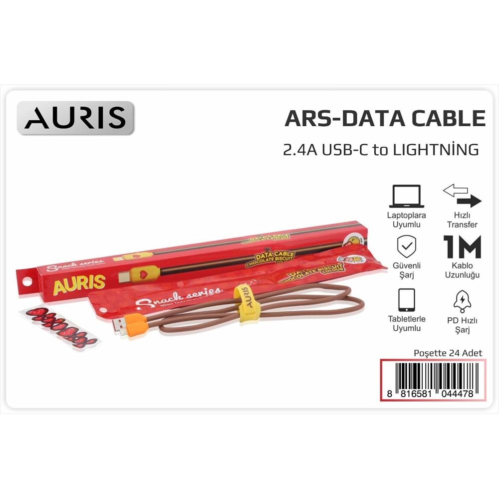 AURIS SOFT RENK 30 WAT USB TYPE-C SARJ KABLOSU