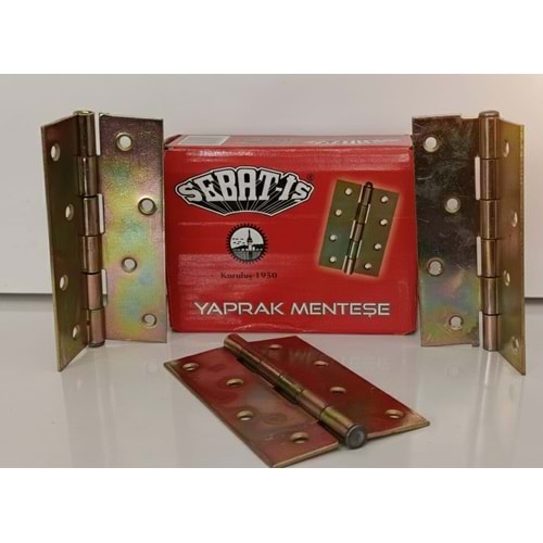 SEBAT IS MENTESE NO:5 (12 LI)