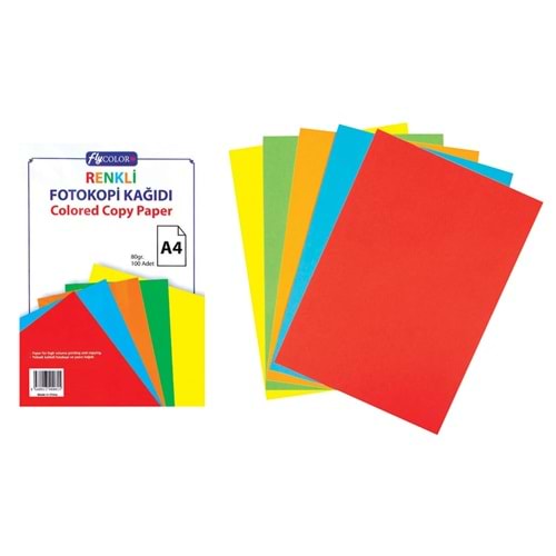 U-4 F740 RENKLI FOTOKOPI KAGIDI 100 LU
