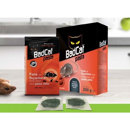 BADCAT FARE PASTA ZEHIR
