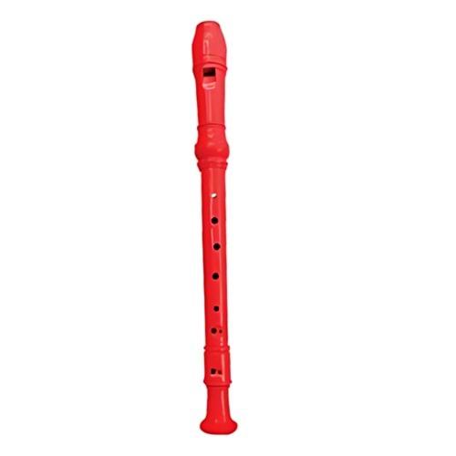 GALAXY P-2589 FLUT RENKLI