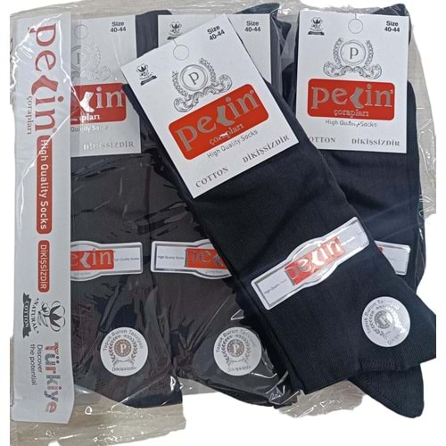 PELIN PENYE ERKEK CORABI DIKISSIZ (12)