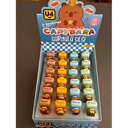 U-4 3583 FIGURLU SILGI BAS-CEK (24)