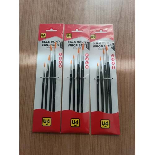 U4 F231 SULU BOYA FIRCA SETI (12)