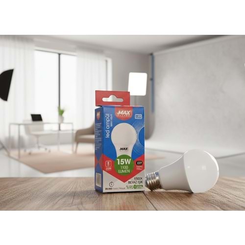 ZMAX F8070 LED AMPUL 15W (100)